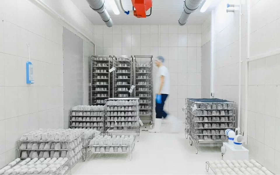 Equipos de refrigeración para cuarto frío industrial